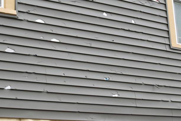 Best Historical Building Siding Restoration  in Fort Washakie, WY